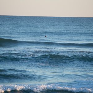 海景