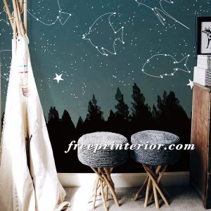 星海
